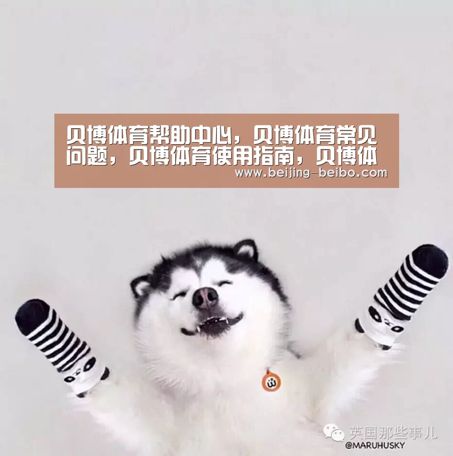 贝博体育帮助中心，贝博体育常见问题，贝博体育使用指南，贝博体育客服，贝博体育教程